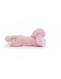 CANICHE ROSA  MILLIE 2